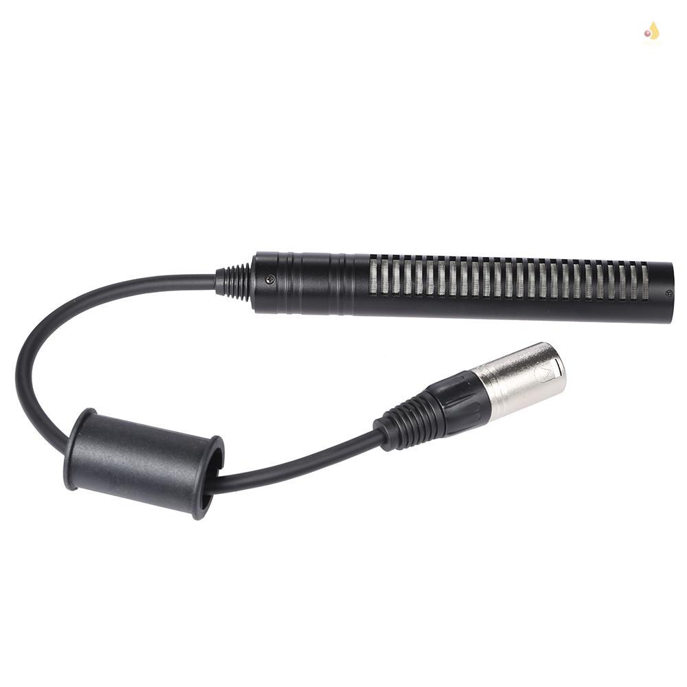 Bộ Mic Thu Âm Đa Hướng Cho Máy Quay Panosonic (mynivn)