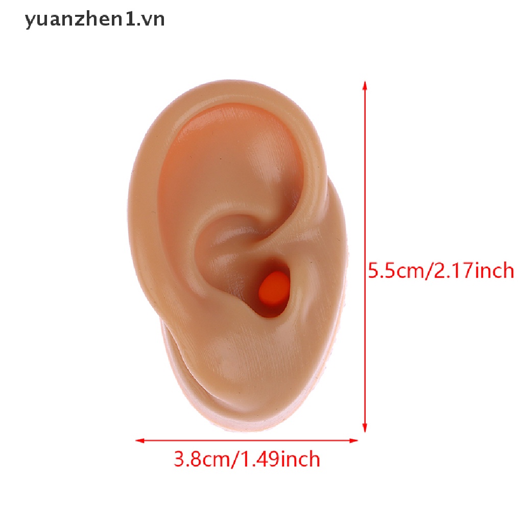 1 Chiếc Khuyên Tai Silicon Mềm Trưng Bày Y Tế