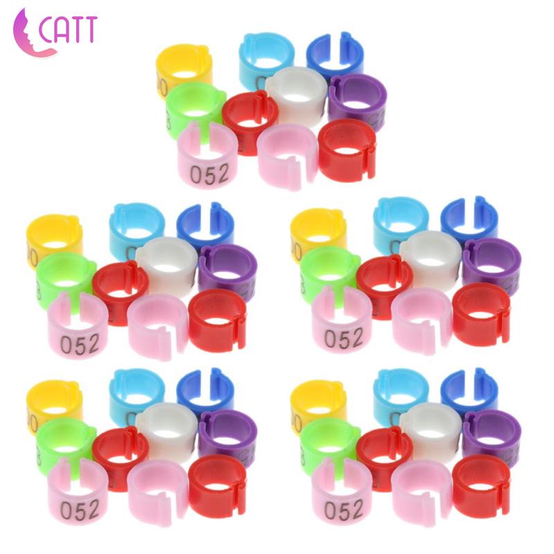 [Dadada1] Set 50 Vòng Đeo Chân Chim Bồ Câu Nhiều Màu Sắc