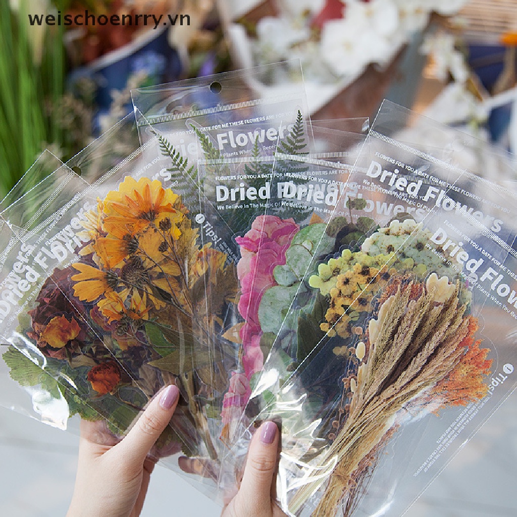 Set 6 Nhãn Dán Trang Trí Sổ Tay / Nhật Ký Hình Cây Cối