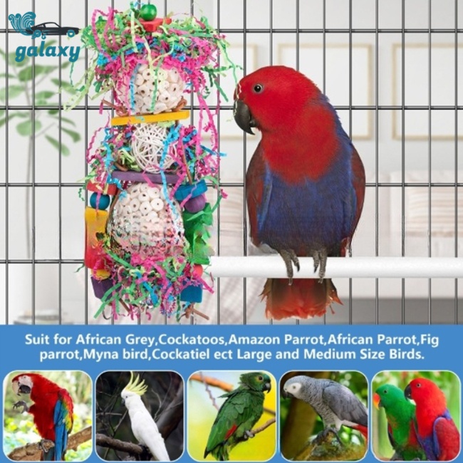 Galaxy Đồ Chơi Gặm Nhiều Màu Sắc Cho Vẹt