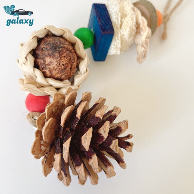 Galaxy Đồ Chơi Nhai Gặm Hình Nón Quả Thông Dành Cho Chim Vẹt