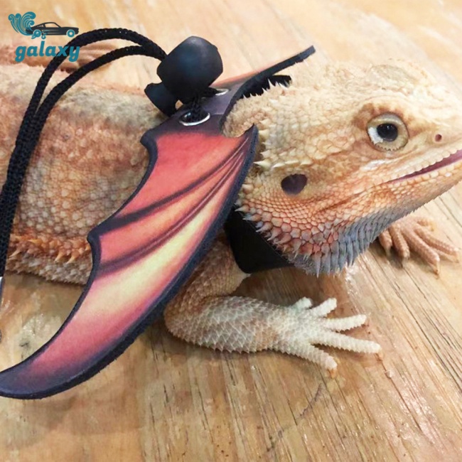 Galaxy Dây Dắt Thú Cưng Đi Dạo Bằng Da Có Thể Điều Chỉnh