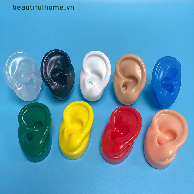 1 Mô Hình Tai Nhân Tạo Bằng Silicon Mềm Dùng Dạy Học