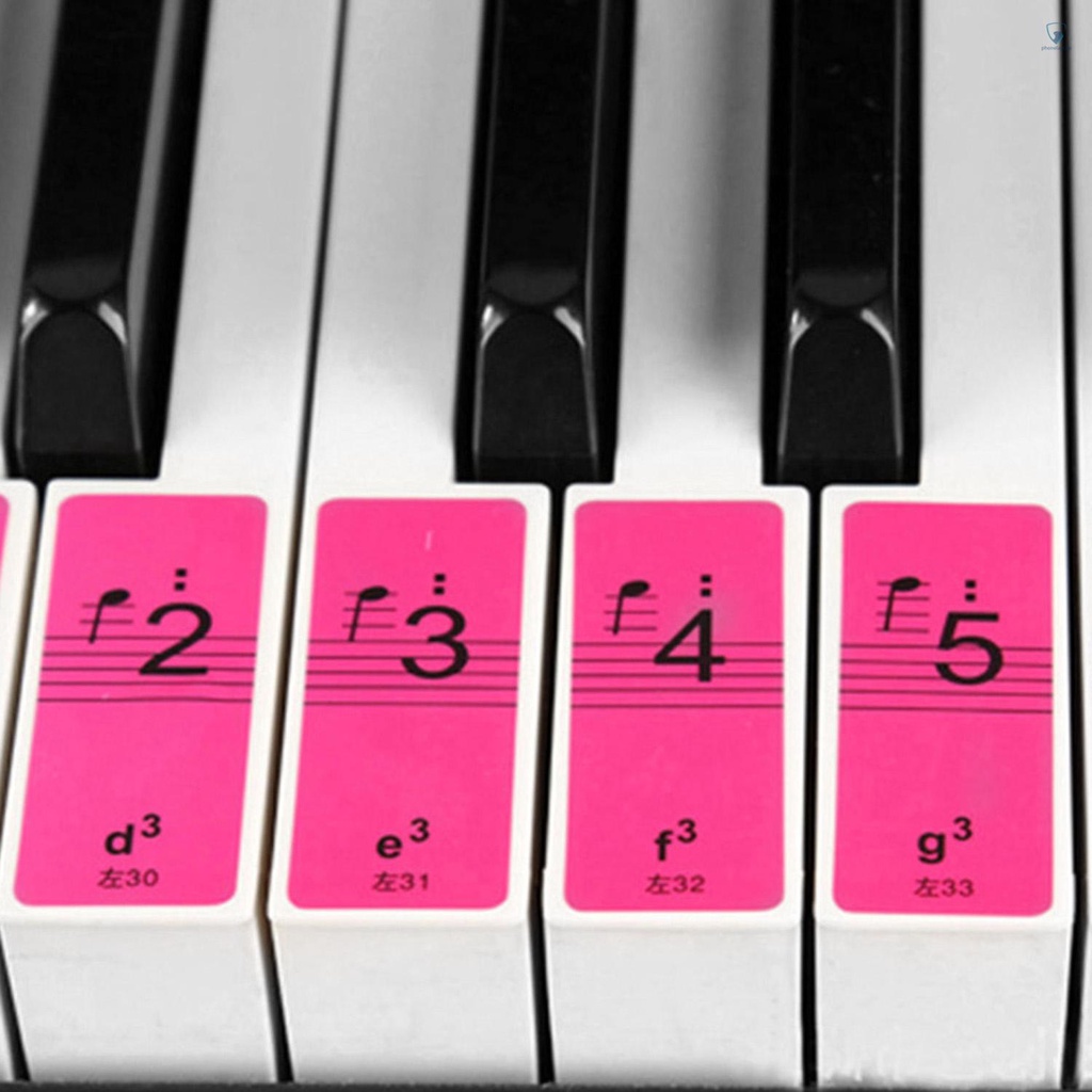 Miếng Dán Bàn Phím Đàn Piano 88 / 61 / 54 Cho Người Mới Bắt Đầu