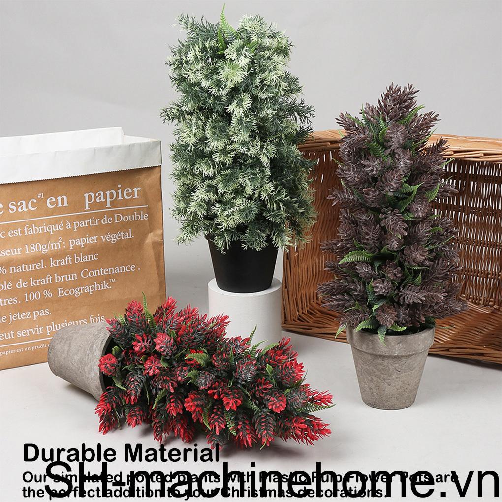 Chậu Cây Bonsai Nhân Tạo Bằng Bột Nhựa Loại 1