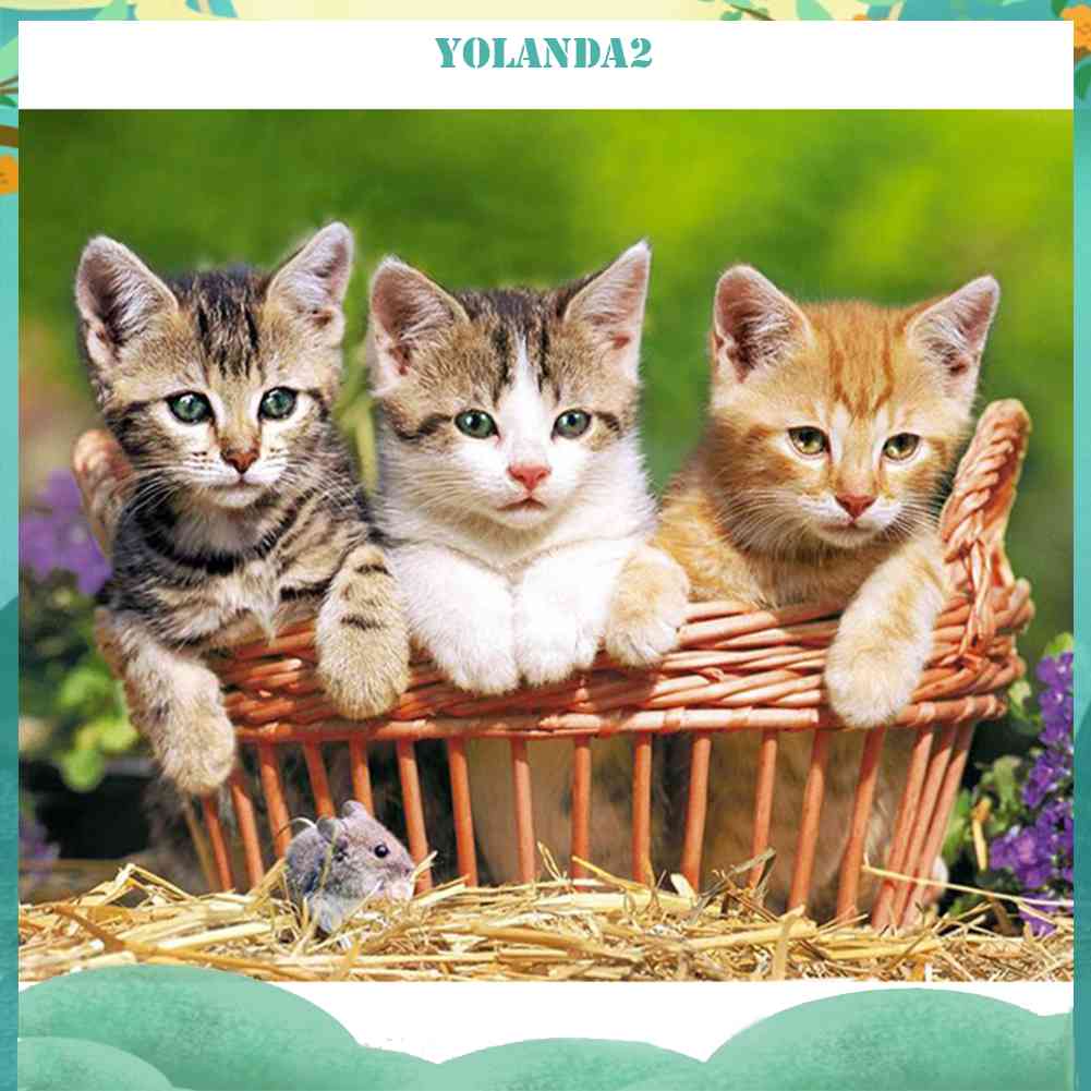 Tranh Đính Đá Kim Cương Toàn Bộ 5D DIY Hình Vẽ Mèo Đáng Yêu