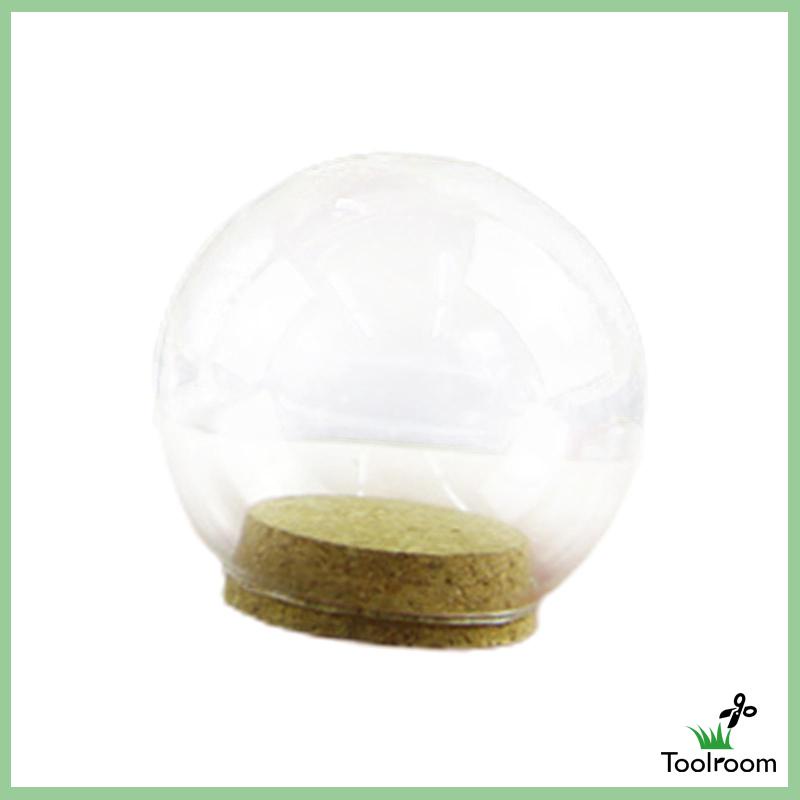 Giá Đỡ Trưng Bày [Toolroom] Với Đế Nút Bần Trang Trí Sinh Nhật Bảo Vệ