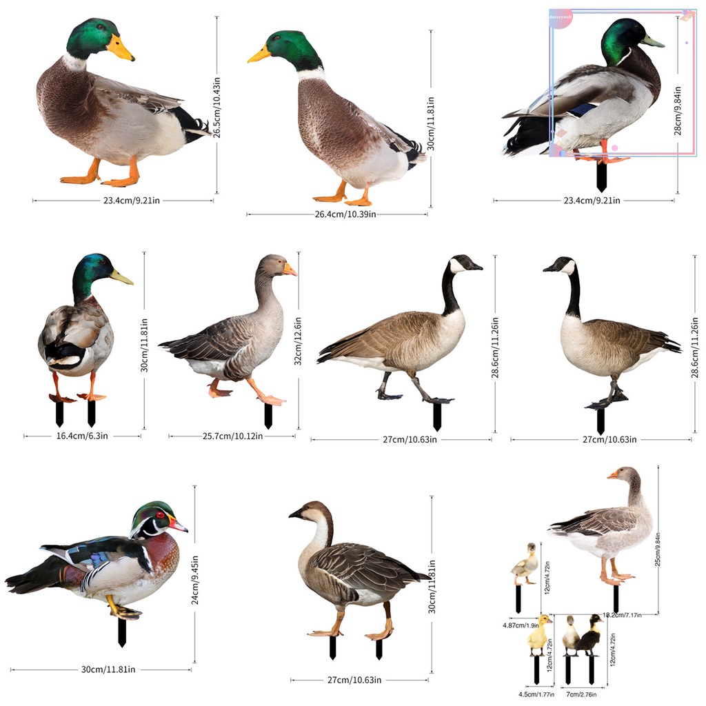 [DZS] Tượng Vịt Bằng Acrylic Hai Mặt Giống Thật Trang Trí Sân Vườn