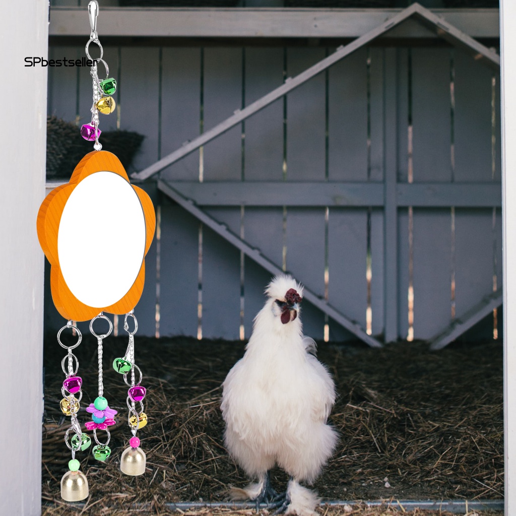 Đồ Chơi Treo Có Chuông Nhiều Màu Vui Nhộn Cho Vẹt