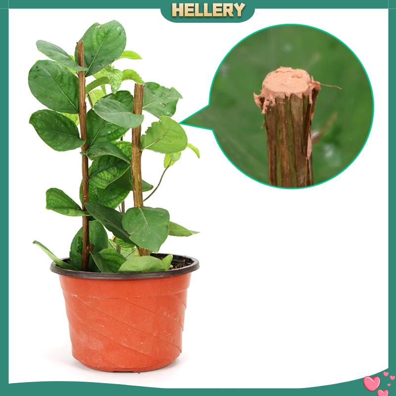 [HelleryVN] Dụng Cụ Niêm Phong Vết Thương Trên Cây Bảo Vệ Cây Trong Vườn