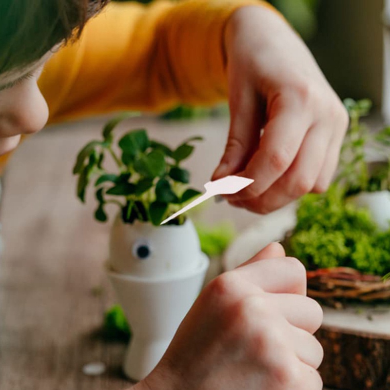 Nhãn Dán Sàn Nhà Bằng Nhựa Hình Chữ T Họa Tiết Hoa Chuyên Dụng Cho Trồng Cây