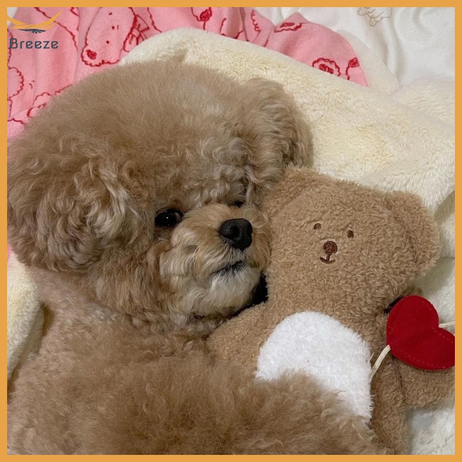 Gối Ngủ Nhồi Bông Hình Gấu Dễ Thương Giúp Giảm Căng Thẳng