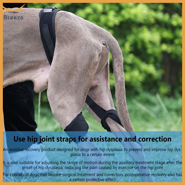 Đai Nén Quấn Chân Giảm Đau Thoáng Khí Thoải Mái Có Thể Điều Chỉnh Dành Cho Thú Cưng