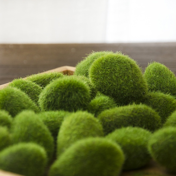 Mô Hình Tiểu Cảnh "Đá Rêu Xanh Mini" Trang Trí Sen Đá, Sân Vườn/ Chậu Cây, DYI, Terrarium