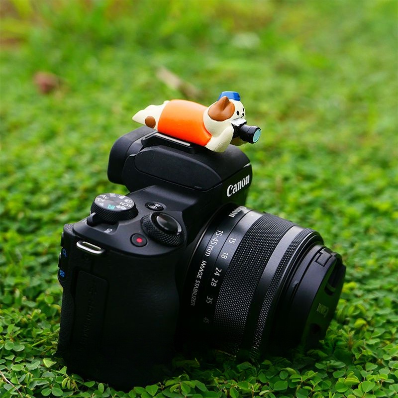 Vỏ Bọc Bảo Vệ Máy Ảnh SLR Hình Mèo Hoạt Hình Sáng Tạo Không Gương