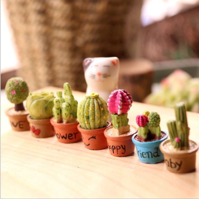 Cây Xương Rồng Mini Dễ Thương Dùng Trang Trí