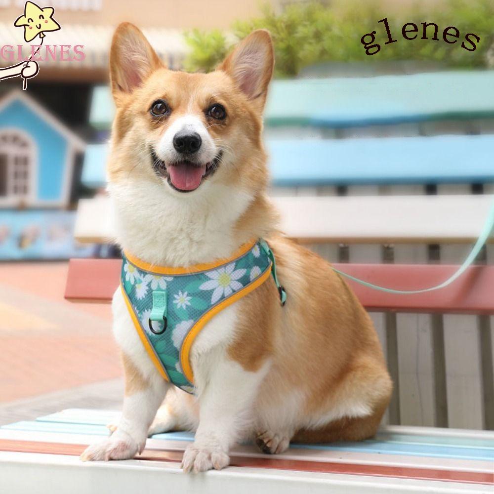 Áo Lưới Kèm Dây Dắt Thú Cưng Đi Dạo Thiết Kế Phản Quang Tùy Chỉnh Tiện Dụng Cho Mùa Hè