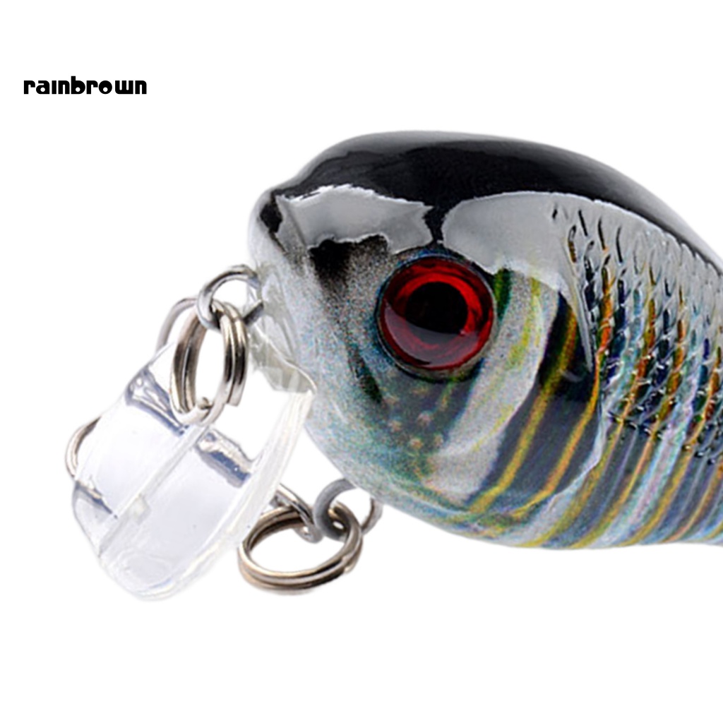 &lt; Rainbrown &gt; Mồi Câu Cá 6.5g Màu Sắc Tươi Sáng Trọng Lượng Nhẹ Tự Nhiên Bền Bỉ Có Thể Di Chuyển Phong Cách Bơi Lội