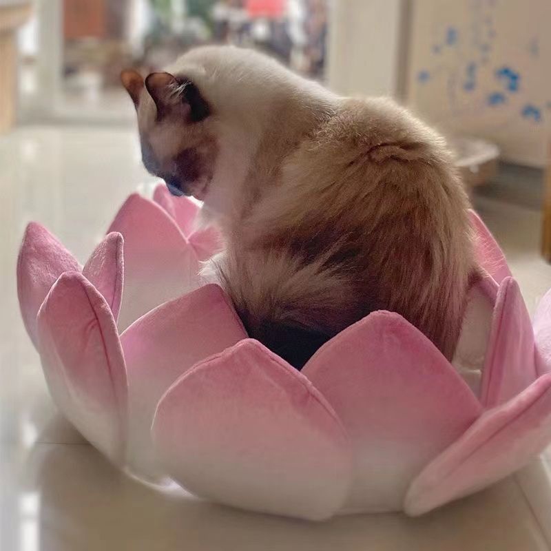 Gối Đệm Trang Trí Phòng Khách Hình Hoa Sen