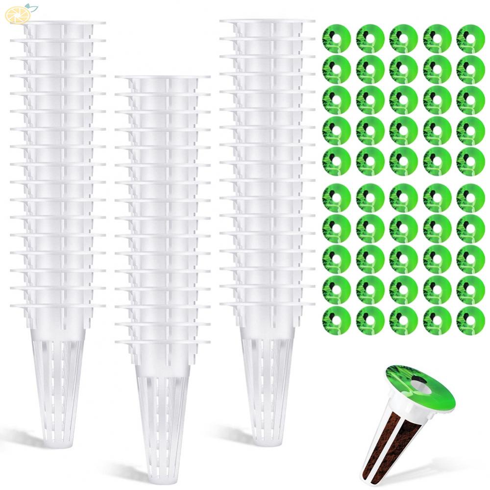 【VARSTR】Planting Baskets Flower Plant Planting Easy To Transplant Easy To Use Brand New