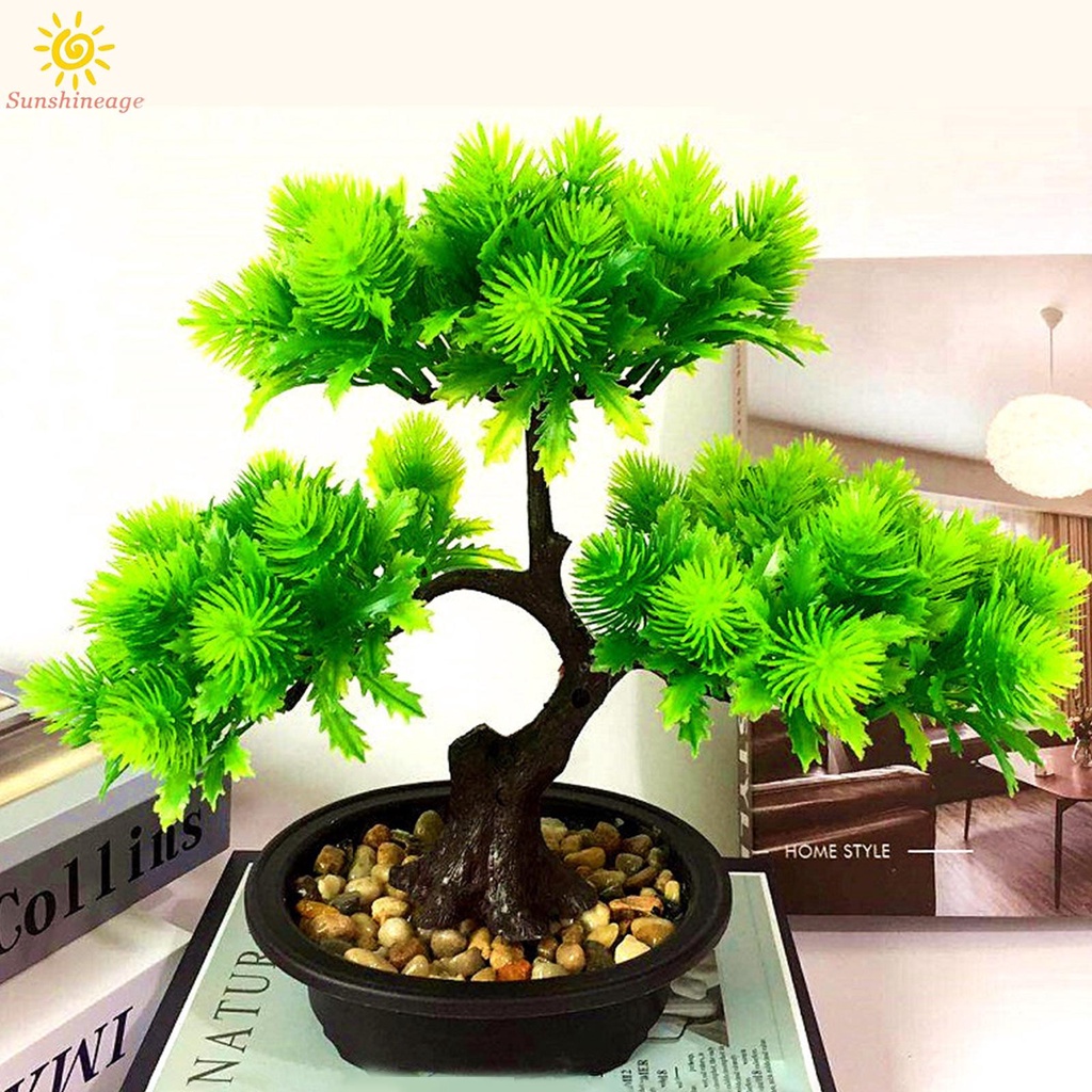 Chậu Cây Bonsai Giả Trang Trí
