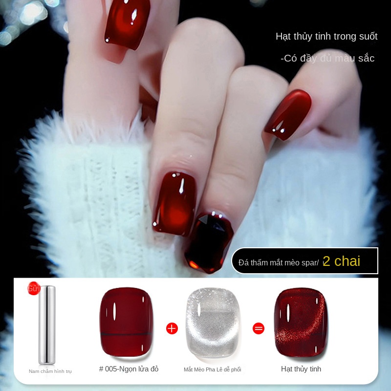 Sơn Móng Tay Mắt Mèo Màu Sắc Bắt Mắt Dễ Phối Đồ