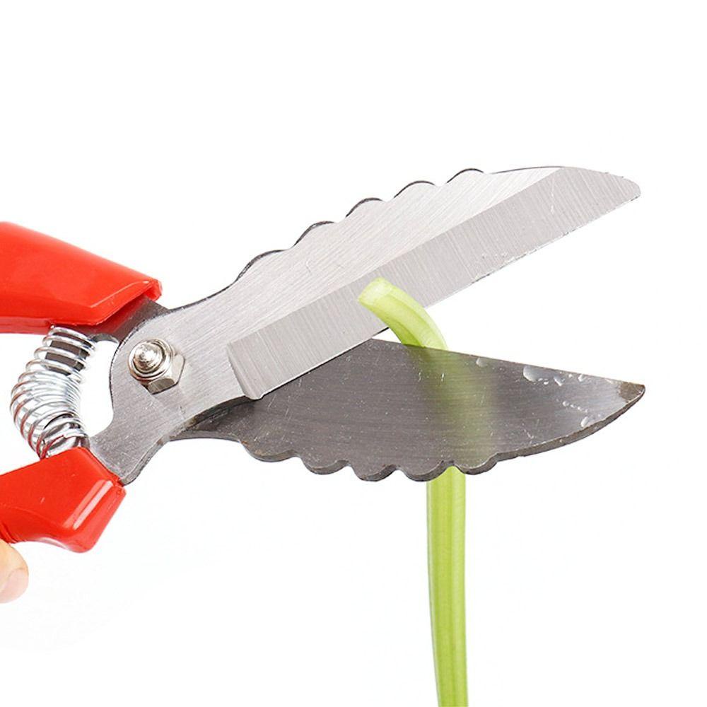 .Kéo Cắt Tỏi Bằng Thép Carbon Chuyên Dùng Cho Nhà Bếp