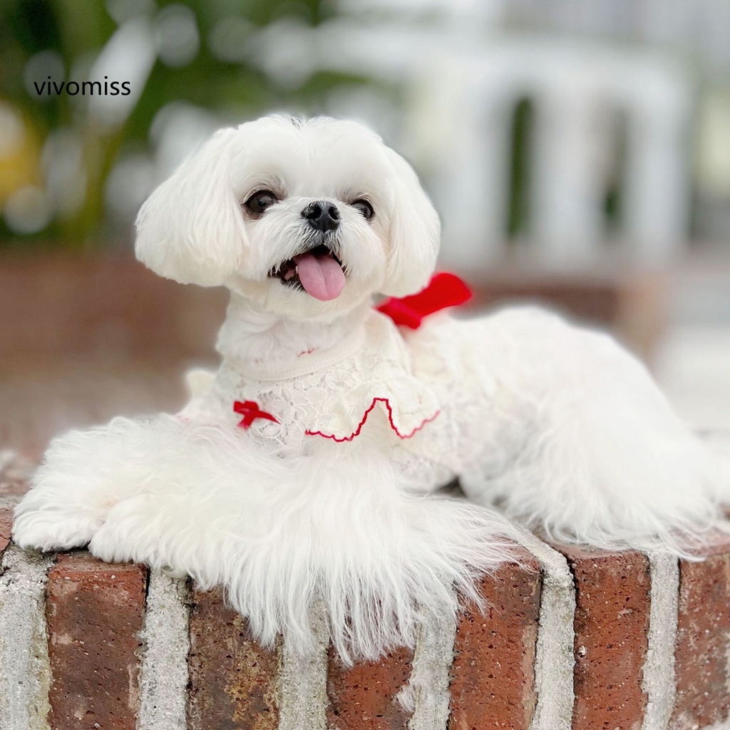 Đầm Hóa Trang Công Chúa Xinh Xắn Cho Cún Cưng