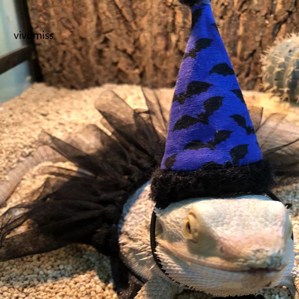 1 Bộ Trang Phục Hóa Trang Rồng Râu Mềm Mại Có Khóa Điều Chỉnh Được Dành Cho Thằn Lằn / Bò Sát / Halloween