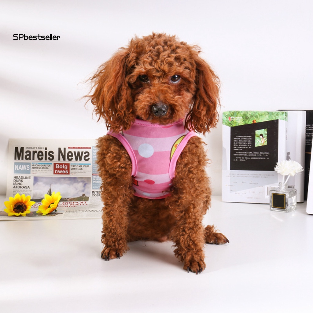 Áo Sweater Cổ Tròn In Họa Tiết Hoa Hoạt Hình Đáng Yêu Cho Thú Cưng