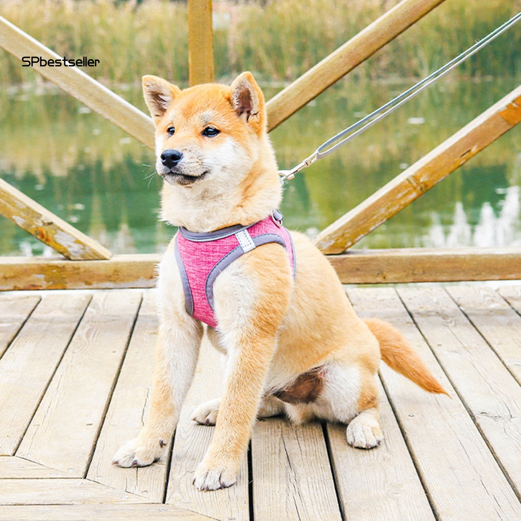 Bộ Dây Dắt Thú Cưng Đi Dạo Chống Thoáng Khí Tiện Dụng