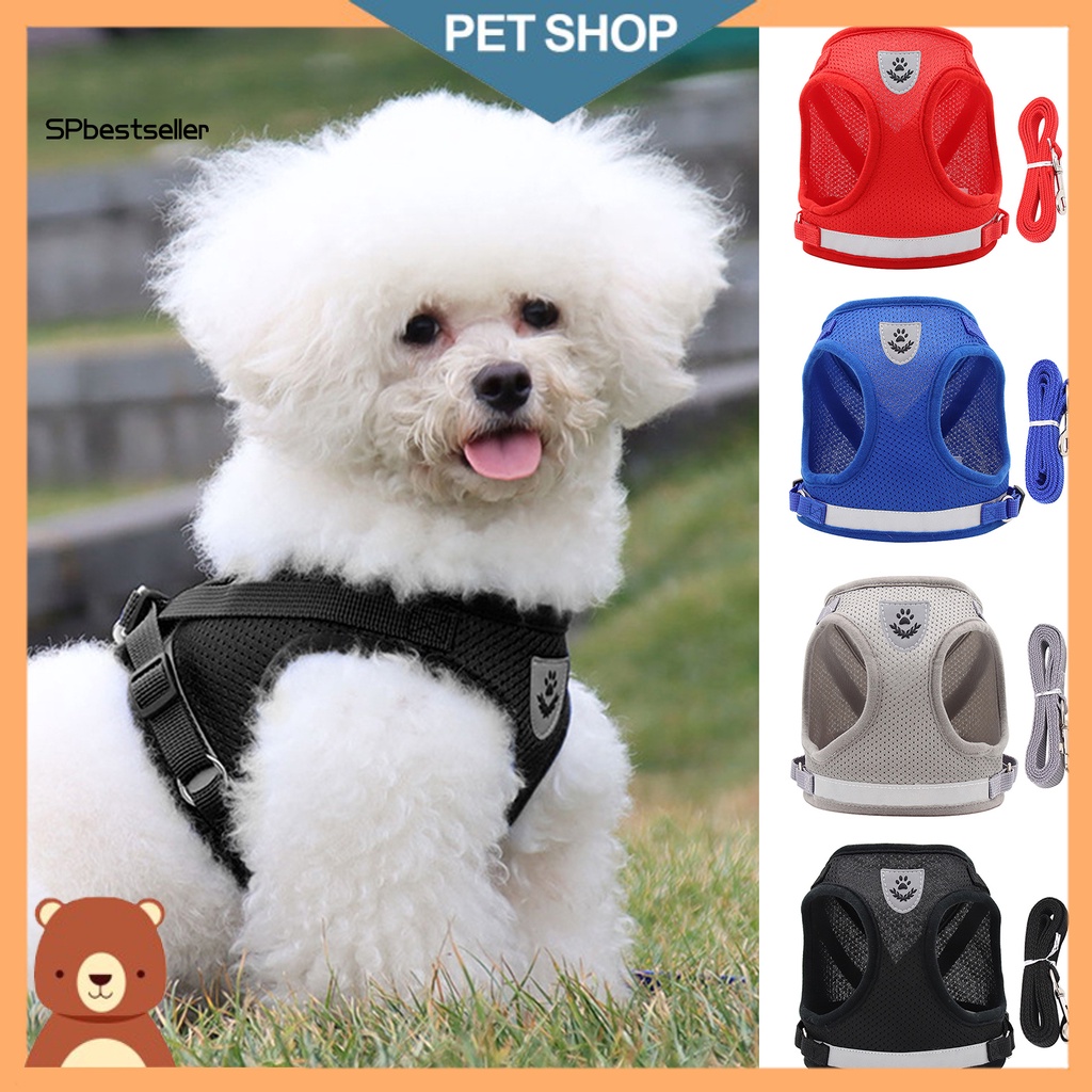 Bộ Dây Dắt Thú Cưng Phản Quang Thoáng Khí Chống Sủa