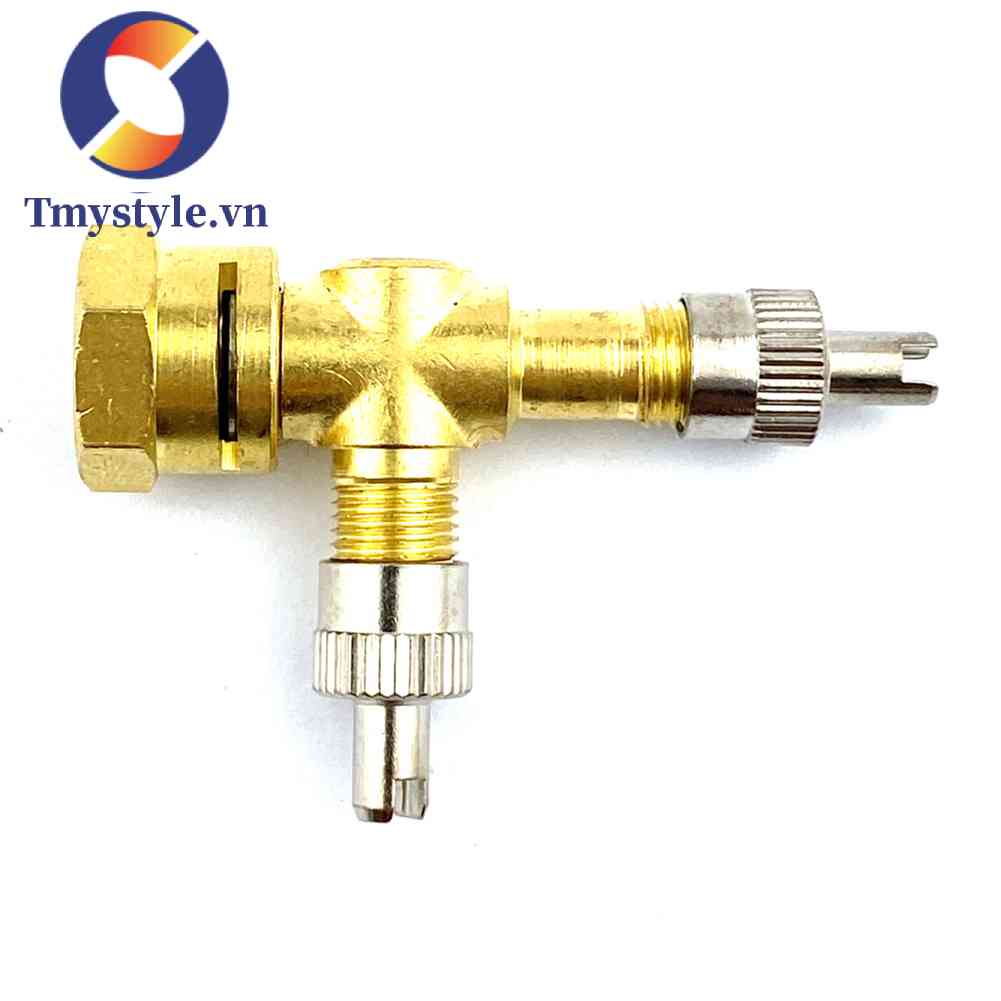 Van Bơm Hơi Bánh Xe Hơi TPMS