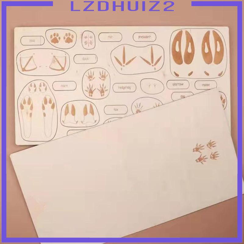 Bộ Đồ Chơi Học Kỷ Niệm Hình Dấu Chân Động Vật Dành Cho Trẻ Em