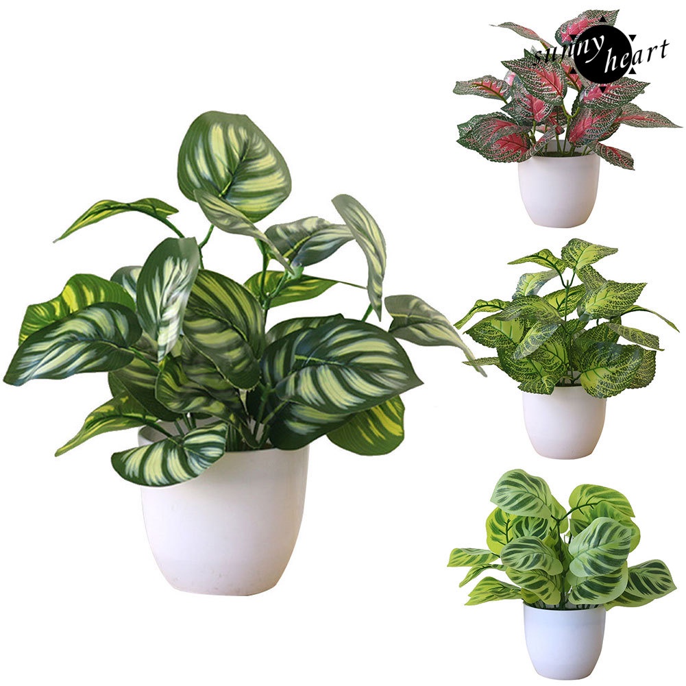 Chậu Cây Bonsai Nhân Tạo Để Bàn Trang Trí Nhà Cửa / Văn Phòng