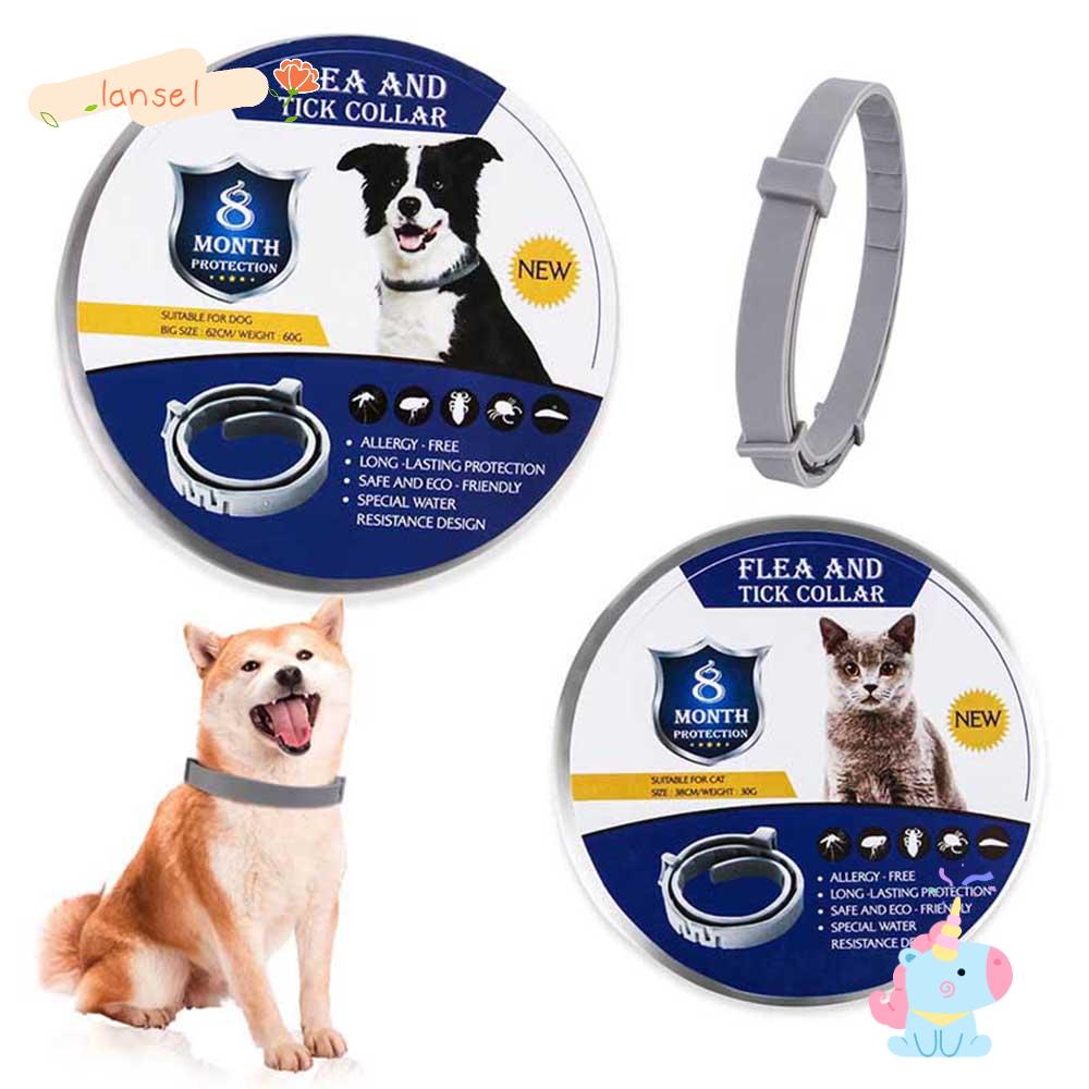 Vòng Cổ Silicone Cho Mèo Cưng 8 Tháng Tuổi Có Thể Điều Chỉnh