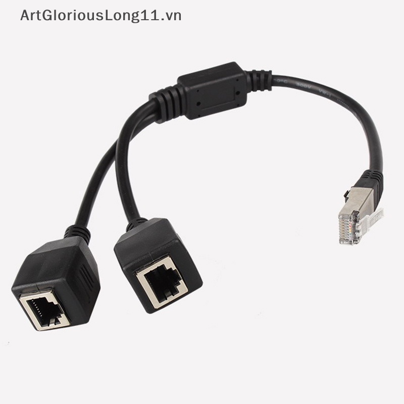 Dây Cáp Chia Mạng LAN RJ45 1 Đầu Dương Sang 2 Đầu Âm Hỗ Trợ Nối Dài Mạng Cat6
