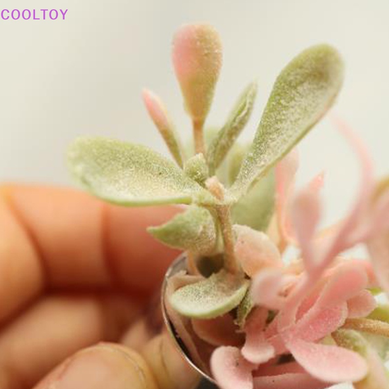 1 Mô Hình Chậu Cây Mini Trang Trí Nhà Búp Bê Tỉ Lệ 1 / 6 1 / 8