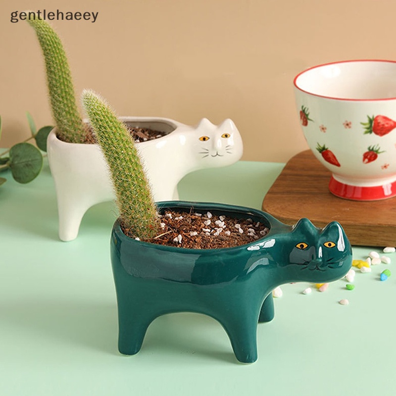 Chậu Gốm Trồng Cây Xương Rồng / Mèo Dễ Thương