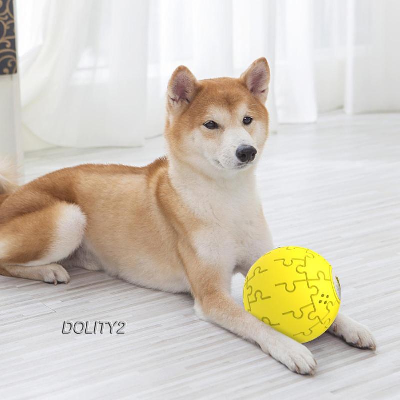 [Dolity2] Đồ Chơi Tương Tác Với Thú Cưng Gặm Trong Nhà