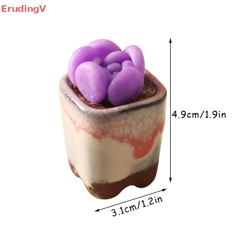 Mô Hình Chậu Cây Mọng Nước Mini Tỉ Lệ 1: 6 Trang Trí Nhà Búp Bê / Tiểu Cảnh