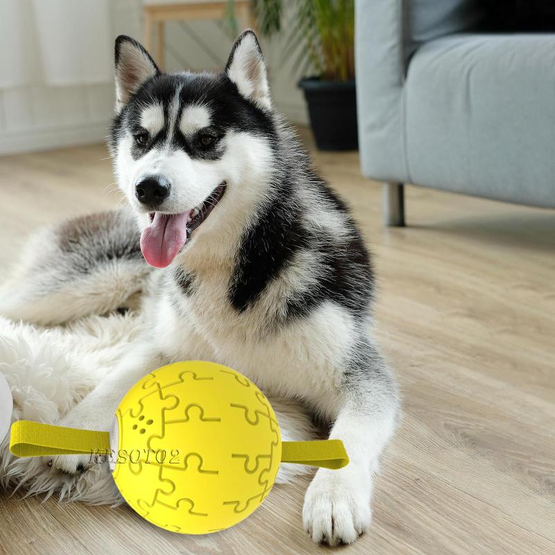 Quả Bóng Đồ Chơi Kesoto2 Phát Ra Tiếng Kêu Dùng Trong Nhà Cho Thú Cưng