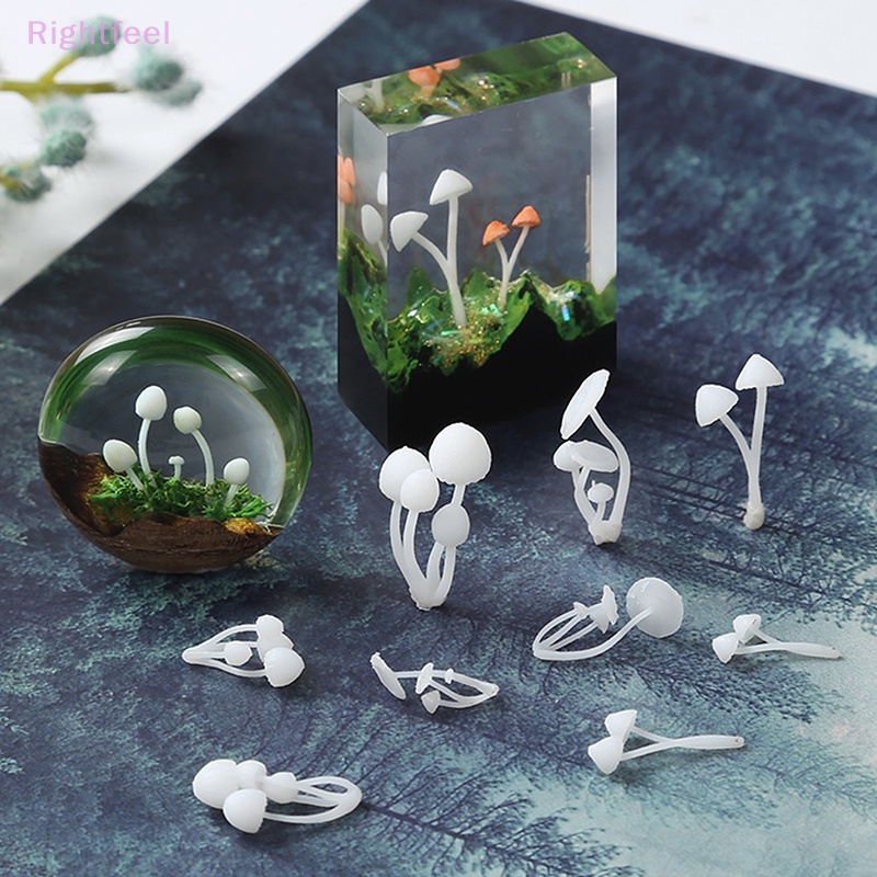 Set 3 Mô Hình Cây Nấm Mini Trang Trí Tiểu Cảnh Mới
