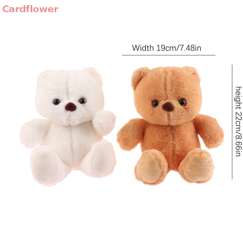 Gấu Nhồi Bông 22CM Đáng Yêu Cho Bé Mới