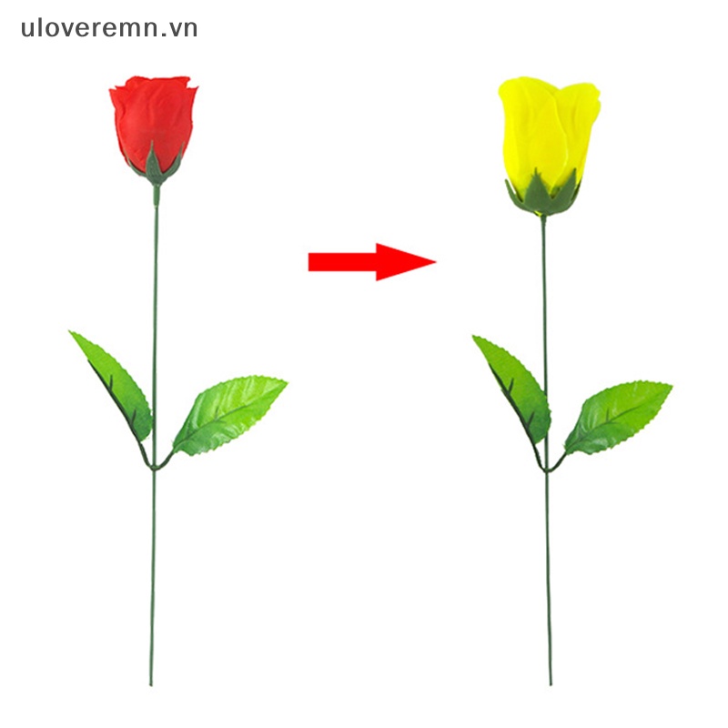 Hoa Hồng Đổi Màu Uloveremn (Thay Đổi Màu Đỏ Vàng) Làm Ảo Thuật Thay Đổi Hoa Hồng