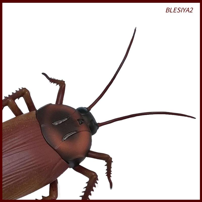 Máy Tập Bò Và Học Tập Điện Blesiya2