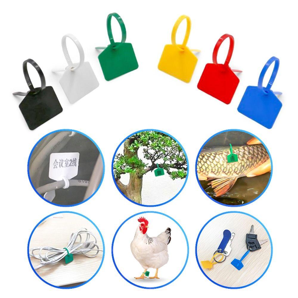 Bộ 50 Dây Dán Nhãn Lên Được Đóng Gói
