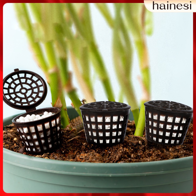 Set 20 Hộp Phân Bón Cây Bonsai Làm Vườn