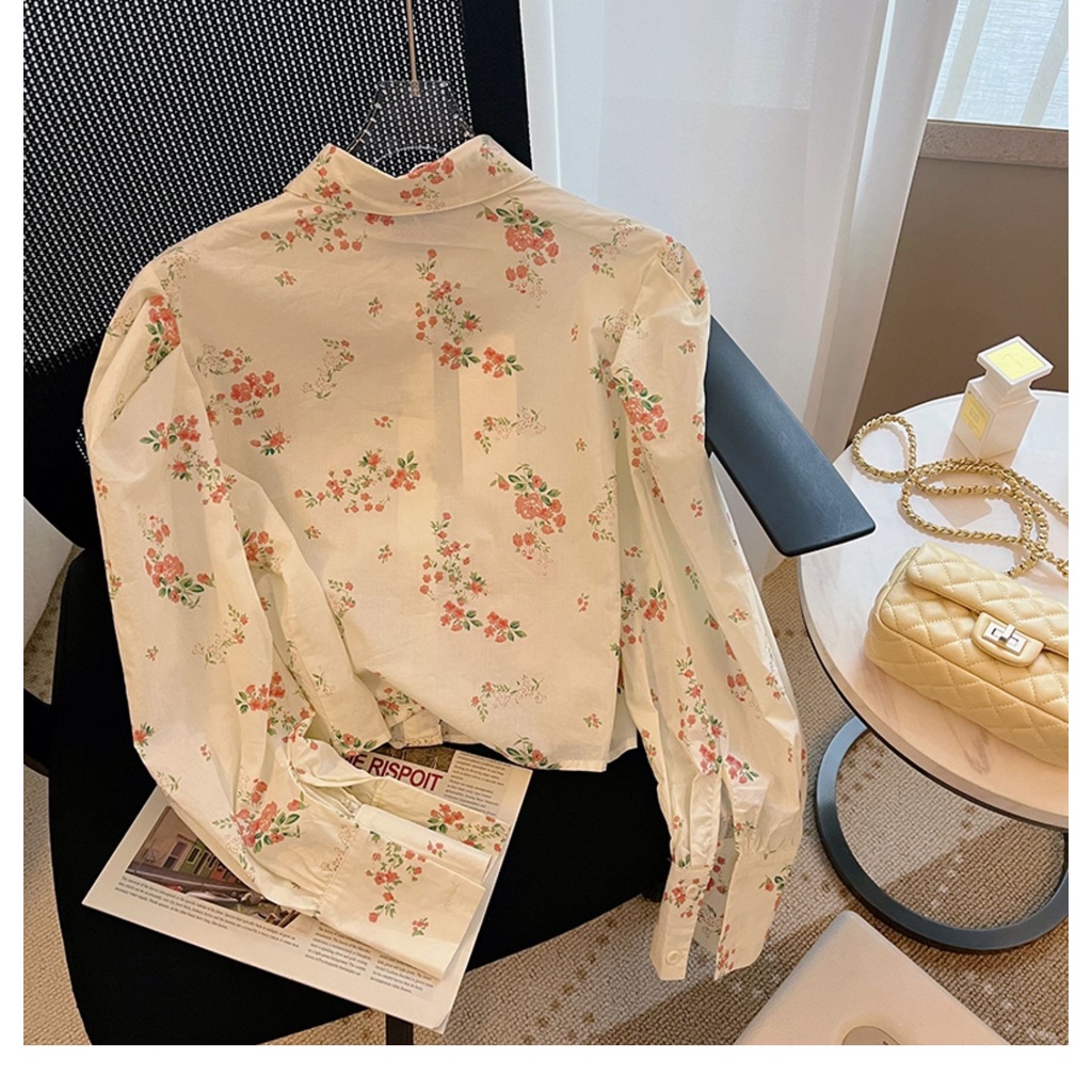 Áo Sơ Mi Croptop Tay Phồng In Họa Tiết Thời Trang Mùa Xuân